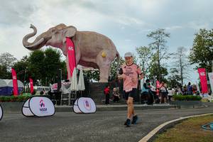 BIB: 
                            <button type="button" onclick="openModal(26528933)" class="btn btn-primary btn-sm float-right btn-popup" data-toggle="modal" data-target=".modal-high-quality">
                        <i class="fas fa-shopping-cart"></i> Add to Cart
                    </button>
                                            <button type="button" onclick="isThisMe(26528933, true)" class="btn btn-success btn-sm float-right btn-popup btn-isme hidden" data-toggle="tooltip" data-placement="bottom" title="นี่คือรูปของคุณใช่ไหม คลิกที่นี่เพื่อเอาเข้าอัลบั้ม">
                        <i class="fas fa-plus"></i> Add to album
                    </button>
                    <button type="button" onclick="isThisMe(26528933, false)" class="btn btn-warning btn-sm float-right btn-popup btn-isnotme hidden">
                        <i class="fas fa-ban"></i> Remove from album
                    </button>